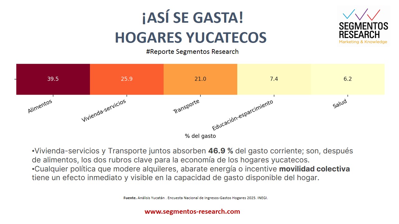 Segmentos Research - 